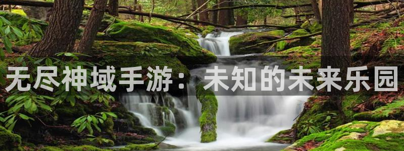 星空娱乐：无尽神域手游：未知的未来乐园