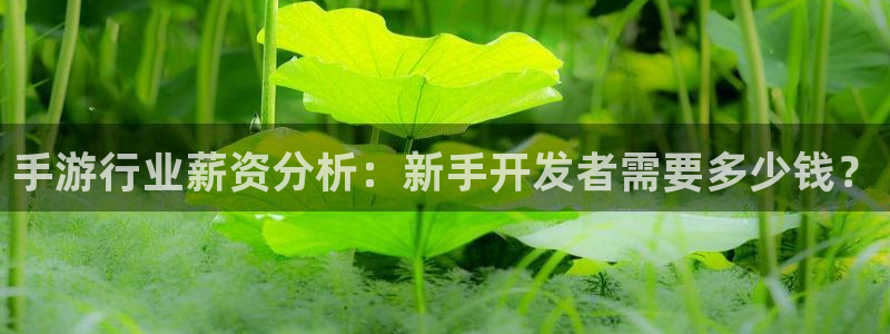星空娱乐老版：手游行业薪资分析：新手开发者需要多少钱？