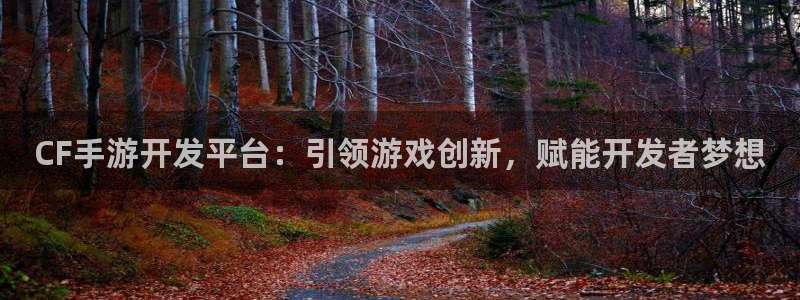 星空体育娱乐官网：CF手游开发平台：引领游戏创新，赋能开发者