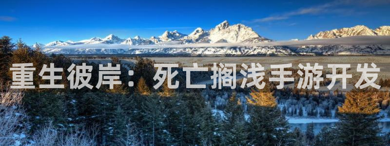 星空娱乐网址：重生彼岸：死亡搁浅手游开发