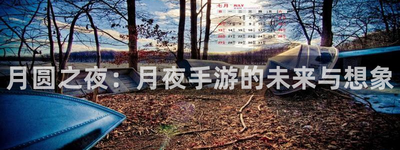 星空娱乐棋牌app：月圆之夜：月夜手游的未来与想象