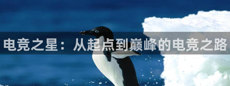 皇冠277体育