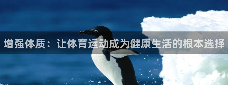 77体育官网
