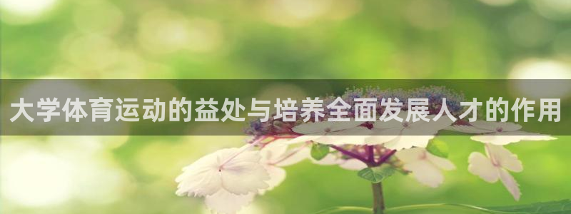 77体育官网