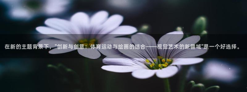 77体育
