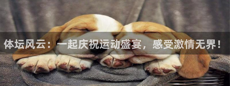 皇冠277体育