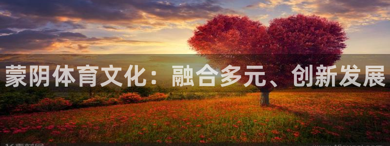 77体育：蒙阴体育文化：融合多元、创新发展