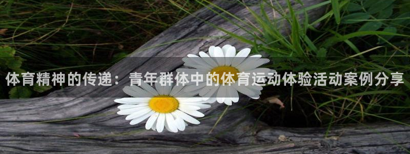 皇冠277体育