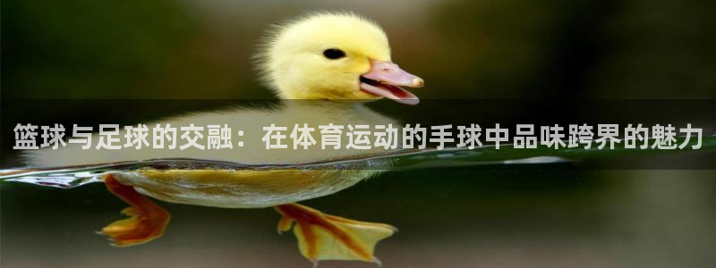 77体育app下载官网：篮球与足球的交融：在体育运动的手球中品味跨界的魅力