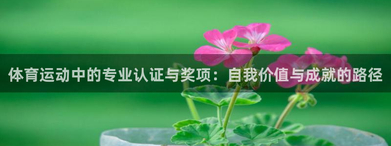 77体育官网：体育运动中的专业认证与奖项：自我价值与成就的路径