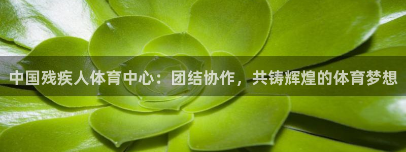 77体育：中国残疾人体育中心：团结协作，共铸辉煌的体育梦想
