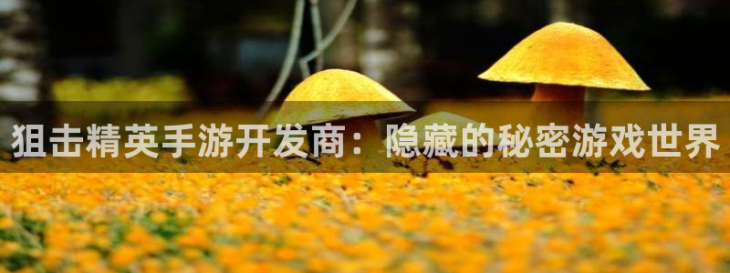 星空娱乐网站官网：狙击精英手游开发商：隐藏的秘密游戏世界